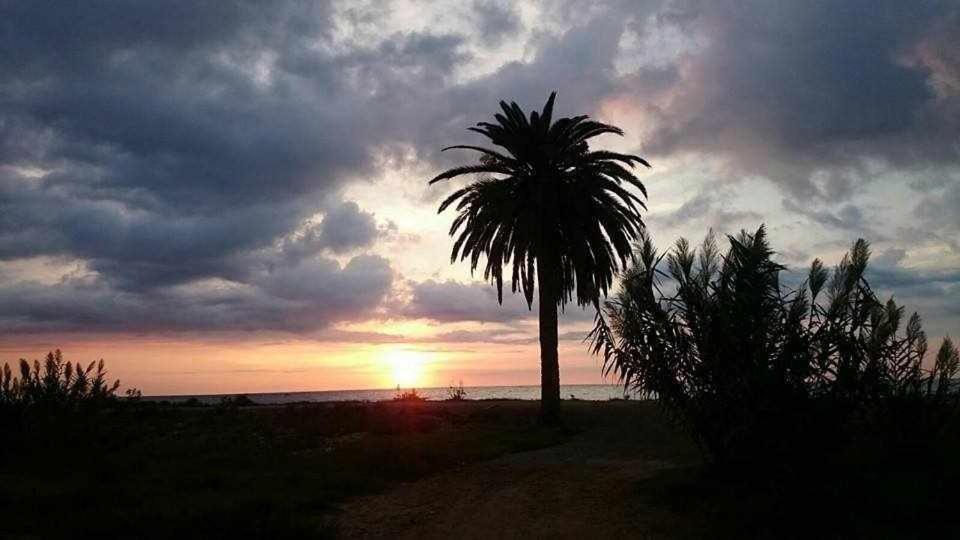 Mediterrania Marina Sagunto Εξωτερικό φωτογραφία