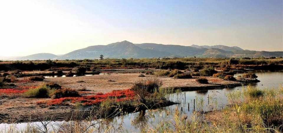 Mediterrania Marina Sagunto Δωμάτιο φωτογραφία